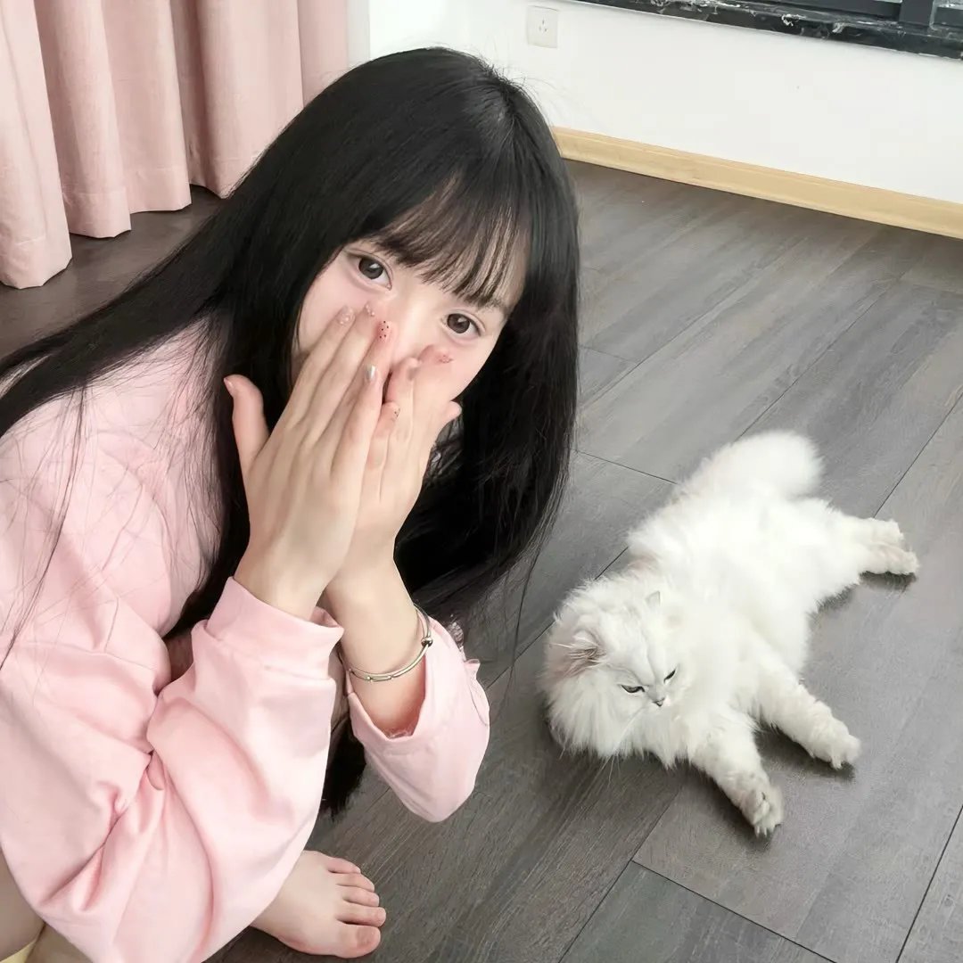 熊猫月亮
